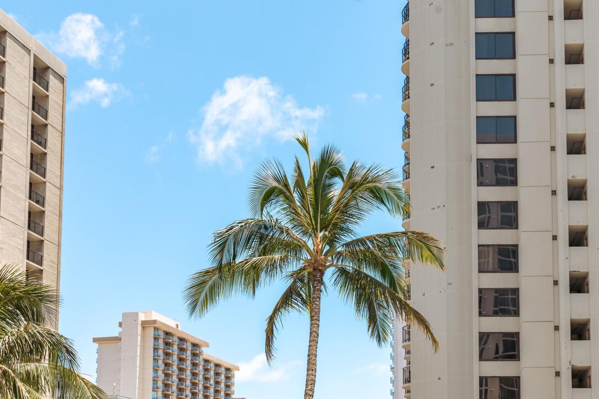 Tropical Bliss, Mountain View Condo Near Waikiki Beach With Free Parking Honolulu Exterior foto